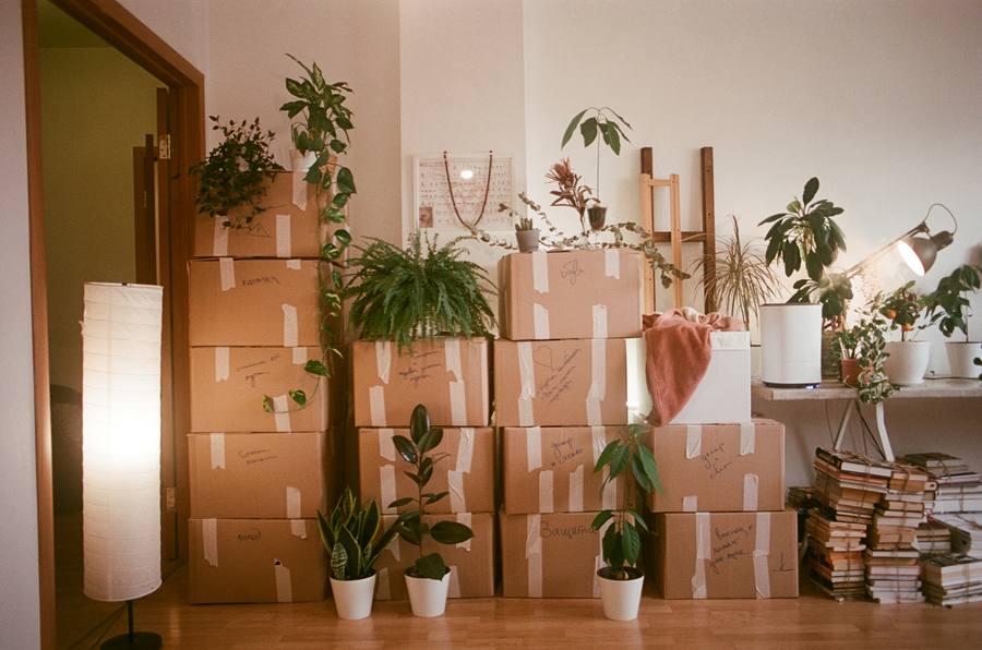 Moving day packed and ready